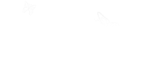 flutterfly Logo