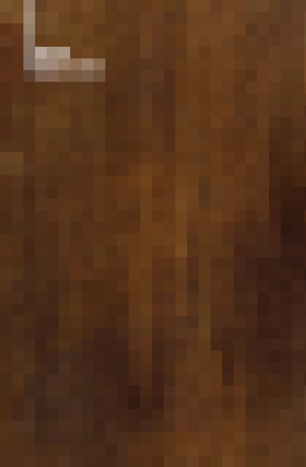 Rustic Wonders Gallery 1