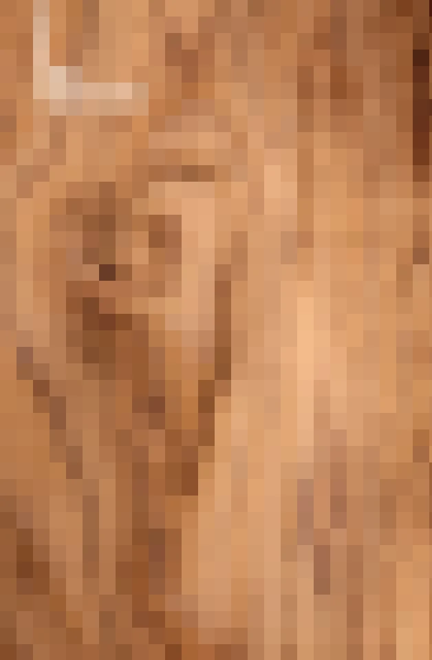 Rustic Wonders Gallery 2